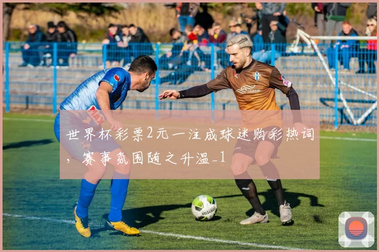 世界杯彩票2元一注成球迷购彩热词，赛事氛围随之升温_1